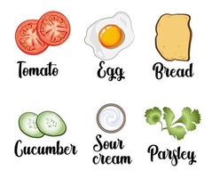 A set of ingredients, scrambled egg, toast, tomatoes, cucumbers, sour cream and parsley vector