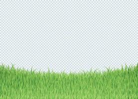 Simple Green Grass Bottom Edge Border Background vector