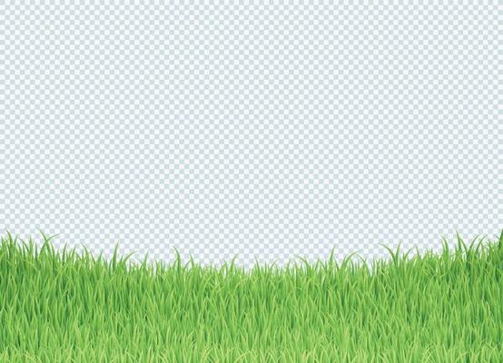 Simple Green Grass Bottom Edge Border Background