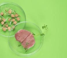 Cultivated steak, meat from the plant stem cell, new food innovation, no killing laboratory-grown meat concept photo