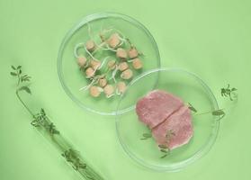 Cultivated steak, meat from the plant stem cell, new food innovation, no killing laboratory-grown meat background photo