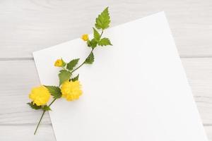 Blank white paper, yellow flower branch on wooden table. Springtime background. Mock up copy space top view photo