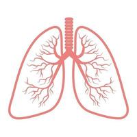 icono de pulmones aislado sobre fondo blanco vector