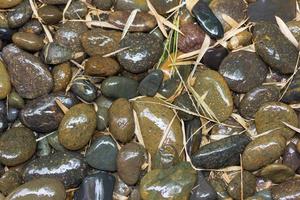 Wet river stones and bamboo leaves photo