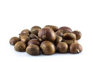 Filbert hazelnuts isolated in white background photo