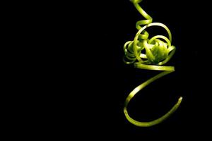 Top of a gourd on a black background photo