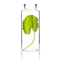Homemade skin care with centella asiatica in a glass bottle isolated on a white background photo