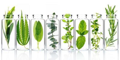 Bottles of fresh herbs isolated on a white background photo