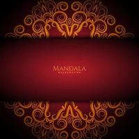 Beautiful mandala design decorative luxury background vector