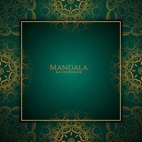 Beautiful mandala design decorative luxury background vector