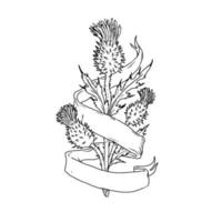 Scottish Thistle With Ribbon Drawing, Black and White vector