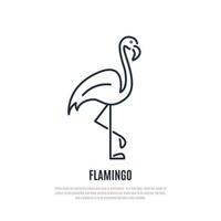 Flamingo line icon. Wild bird symbol. Liner style. vector