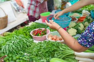 Selective focus on arm and hand of female adult shopping at the morning market photo