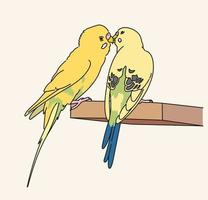 Two canaries sit affectionately. hand drawn style vector design illustrations.