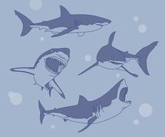 una colección de diversas acciones de tiburones. ilustraciones de diseño de vectores de estilo dibujado a mano.