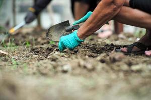 El enfoque selectivo en la mano del jardinero quitando las malas hierbas foto