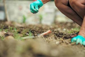 El enfoque selectivo en la mano del jardinero quitando las malas hierbas foto