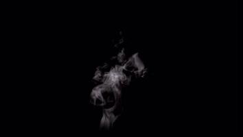 Realistic white smoke on black background. video