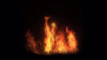 realistische vlammen schijnen op zwarte achtergrond. video