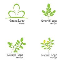 Conjunto de plantillas de logotipo de diseño de ilustración de vector de icono de hoja