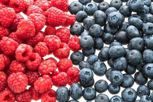 Blueberry and Rasberry fruit photo