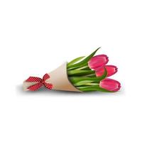 Bouquet of tulips isolated on a white background for your creativity vector