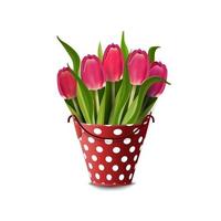 Bouquet of tulips in a bucket isolated on a white background for your creativity vector