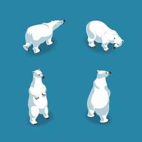 Polar bears in 4 poses in isometry. Vector illustration