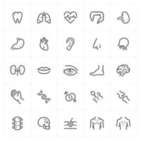 Human Anatomy line icons. Vector illustration on white background.