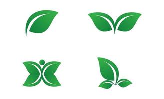 hojas verdes, conjunto, vector, logotipo, plantilla, ilustración, diseño vector