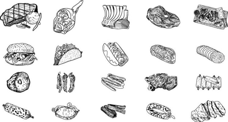 Meat - hand drawn collection. Vector.