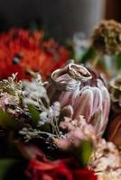 Gold wedding rings under the bark of a tree photo