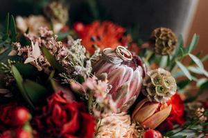 anillos de bodas de oro debajo de la corteza de un árbol foto