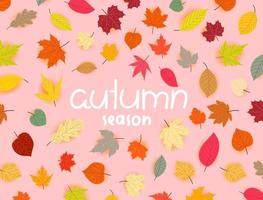 Autumn season vector banner with leaves