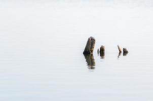 Wooden posts in water photo