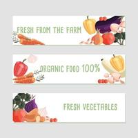 tres plantillas de banner horizontal con verduras orgánicas frescas y lugar para el texto. colorido alimento natural dibujado a mano sobre fondo blanco. ilustración vectorial. vector