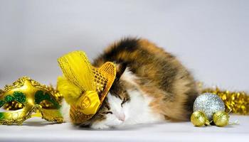 Cat wearing a gold hat with decorations photo