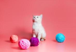 gatito blanco con ovillos de lana foto