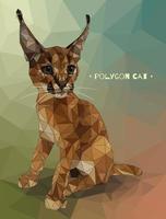 Vector illustration in low polygon style. Kitten caracal.