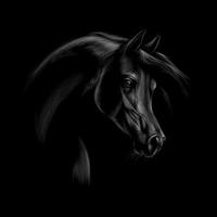 Retrato de una cabeza de caballo árabe sobre un fondo negro. ilustración vectorial vector