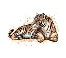 Portrait of a lying tiger from a splash of watercolor, hand drawn sketch. Vector illustration of paints