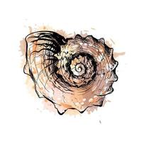 concha de mar de un toque de acuarela, boceto dibujado a mano. ilustración vectorial de pinturas vector