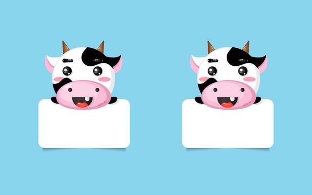 Cute cow photo frames