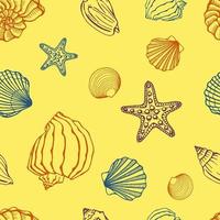 patrón sin fisuras con conchas marinas, estrellas de mar. fondo marino. Ilustración de vector dibujado a mano en estilo boceto. perfecto para saludos, invitaciones, libros para colorear, textil, boda y diseño web