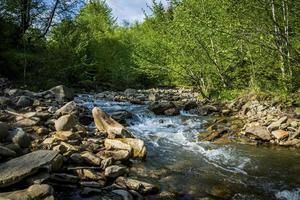 Mountain river with green forest photo