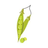 Open pea pod on white background. Vector flat image, icon