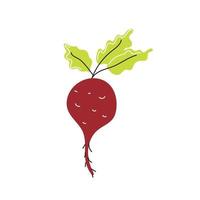 Fresh beetroot on a white background. Vector flat image, icon