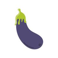 Eggplant on a white background. Vector flat image, icon