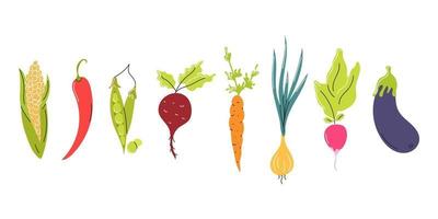 Set of fresh vegetables arranged in a row on a white background. Natural food, vegetarianism. Vector flat image, icon