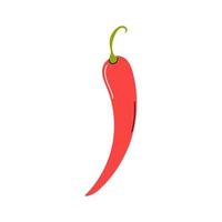 Fresh red chili pepper on a white background. Vector flat image